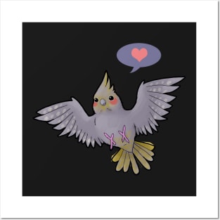 Female Cockatiel Love Posters and Art